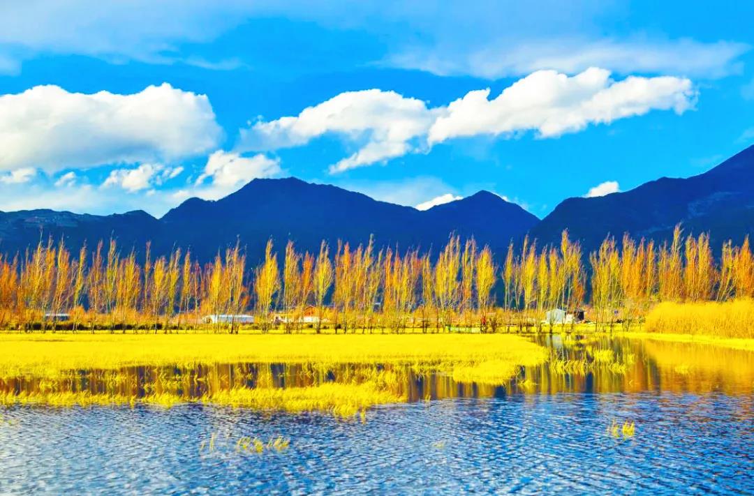 麗江束河旅游景區