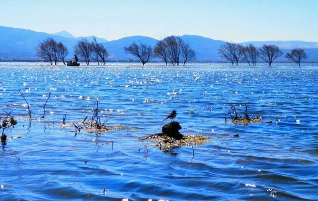 研學旅行實踐活動需在規范化的道路上才能長遠發展