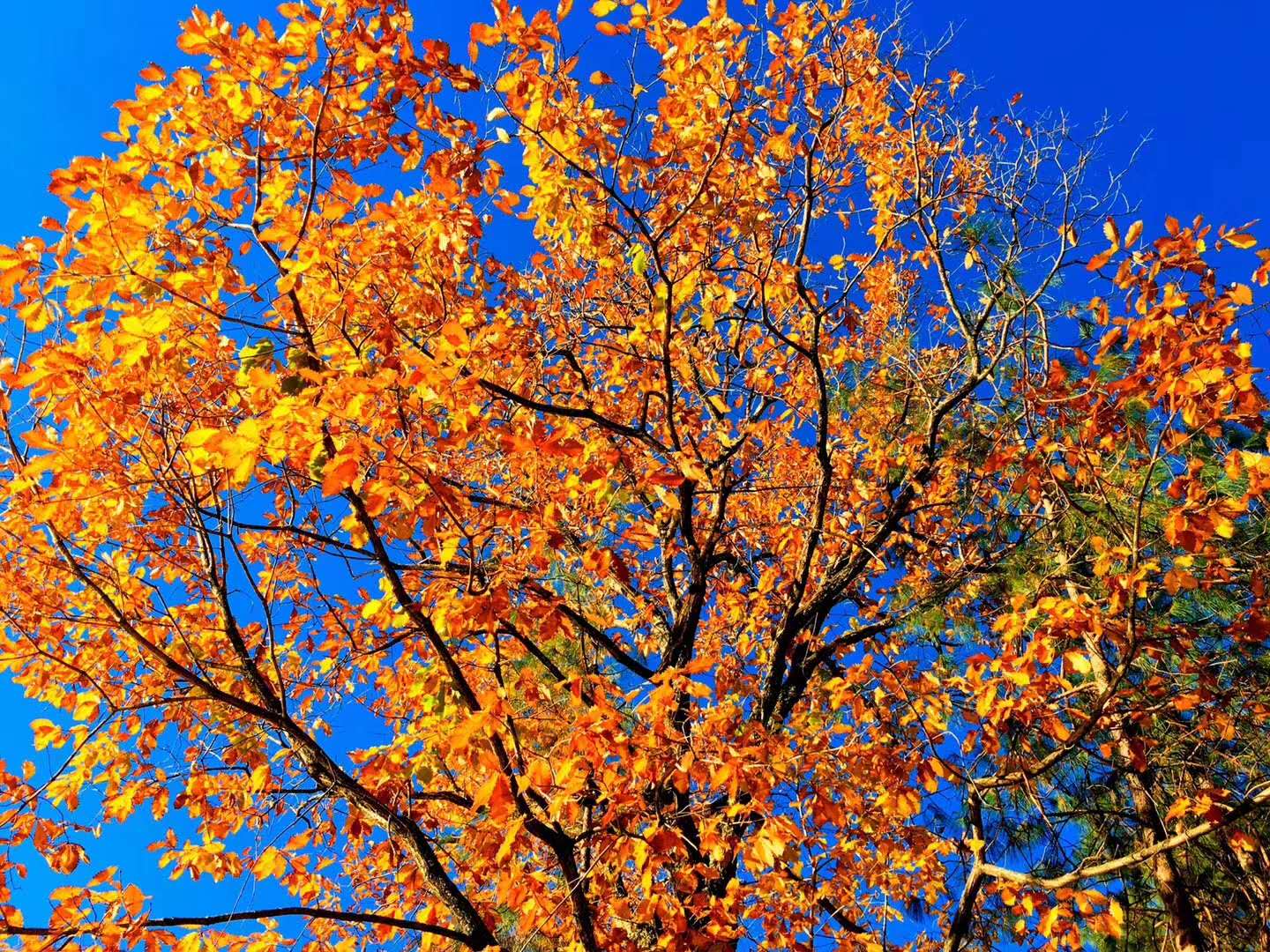 康養小鎮特色產業的六大選擇原則