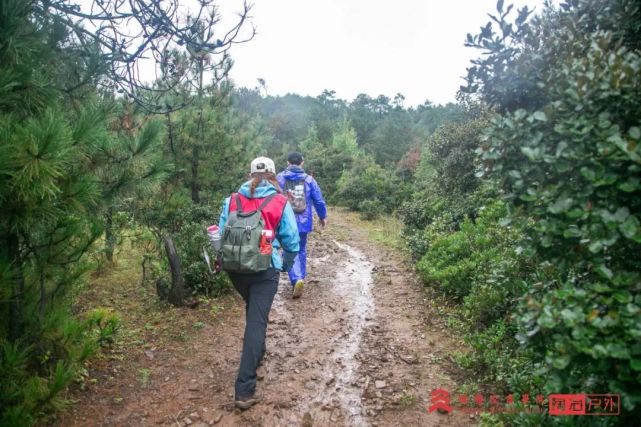麗江茶馬古道徒步挑戰賽