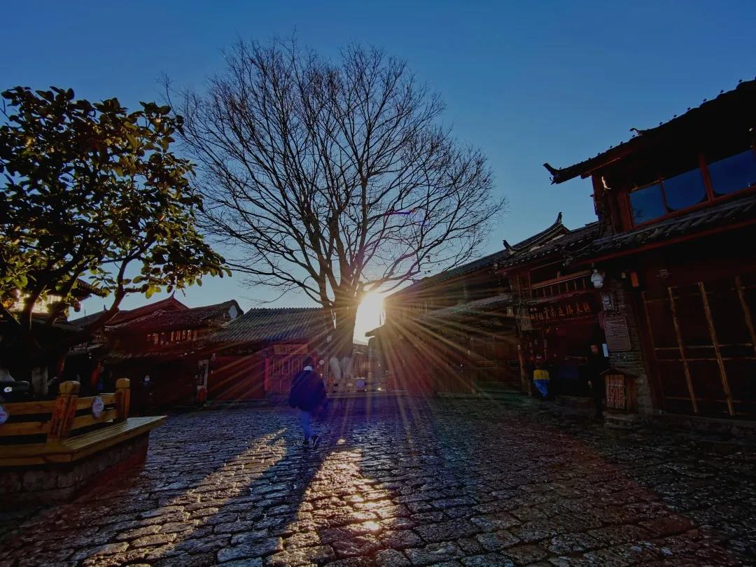 藍天暖陽，古巷冬花，它當屬滇西北最安逸的日光之城！