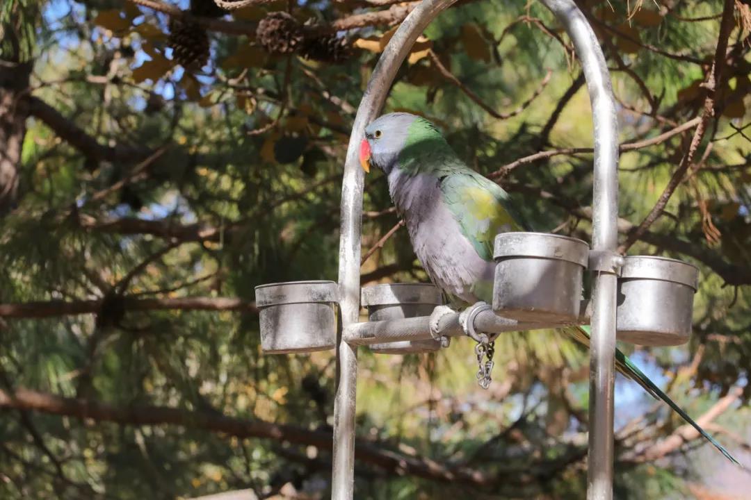 麗江試乘試駕獵鷹谷景區