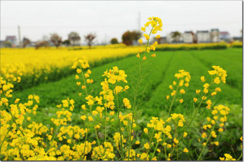 超悠閑的市內一日游