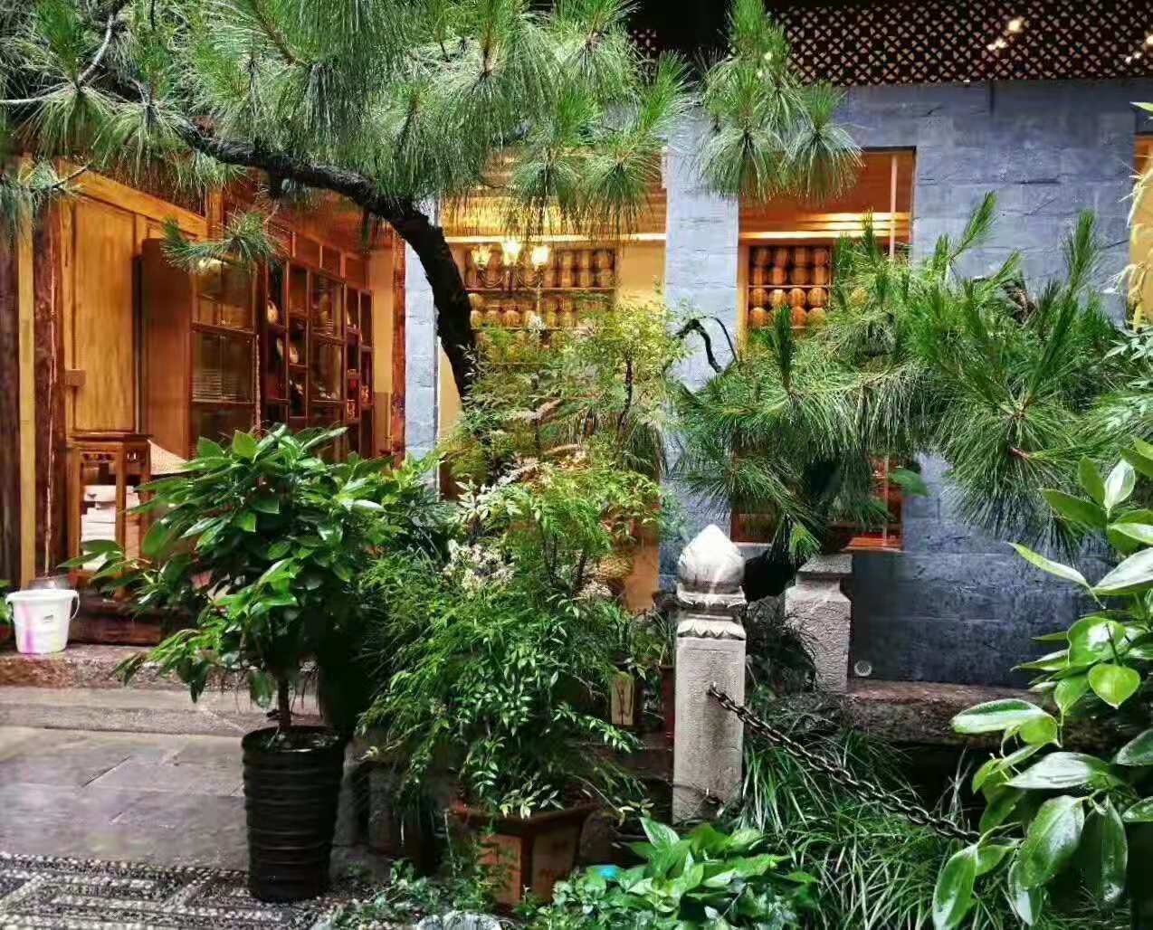 麗江古城福興昌茶莊 團建拓展壓制茶葉推薦