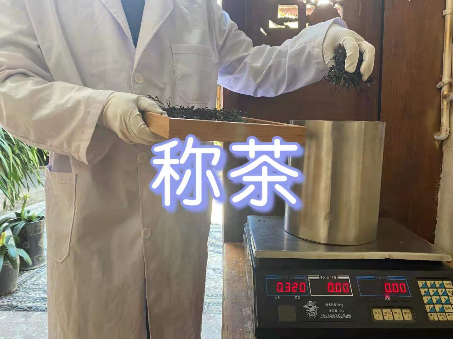 麗江古城尋寶團建制茶體驗任務