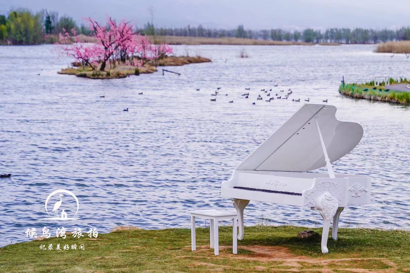 麗江會議獎勵會展汽車發布會戶外拓展訓練研學旅拍基地：麗江拉市海候鳥灣戶外拓展基地