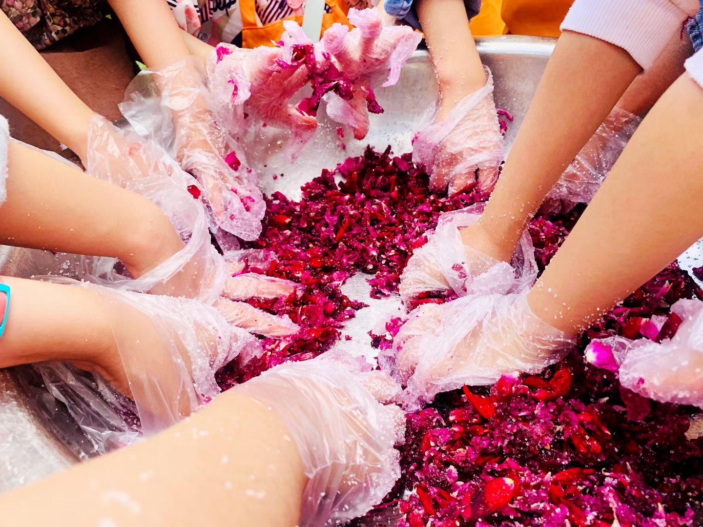 麗江普濟農(nóng)莊青少年戶外拓展?fàn)I地