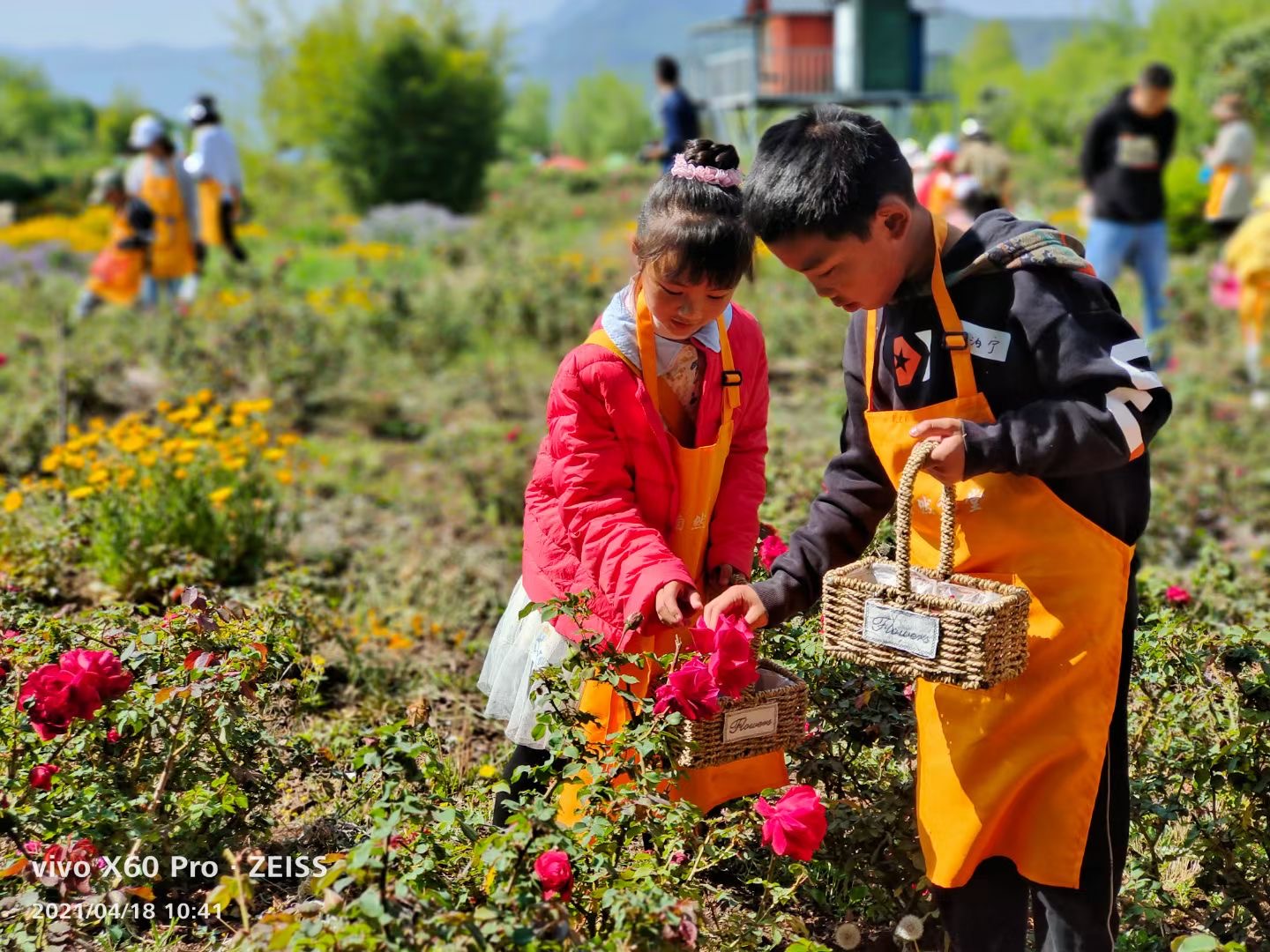 麗江普濟農(nóng)莊青少年戶外拓展?fàn)I地