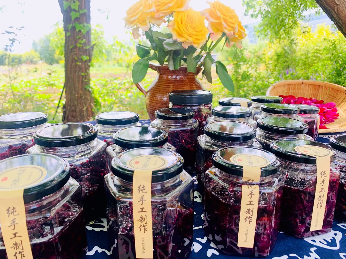 麗江普濟農(nóng)莊青少年戶外拓展?fàn)I地