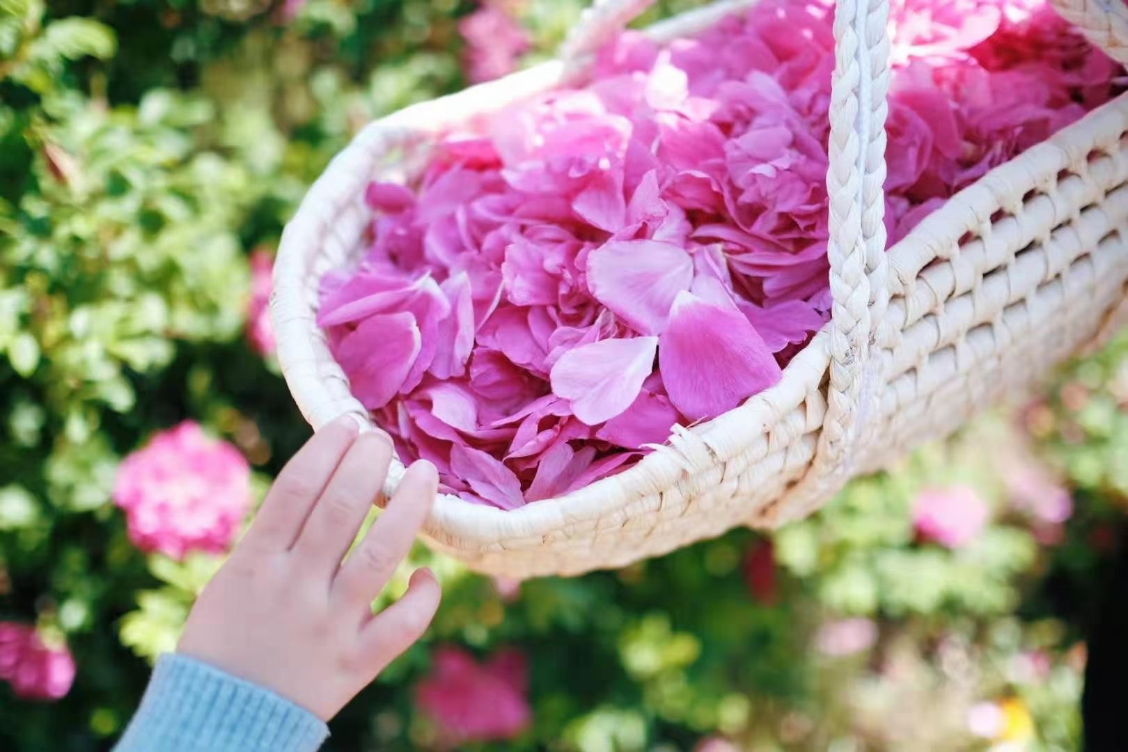 麗江普濟農(nóng)莊青少年戶外拓展?fàn)I地