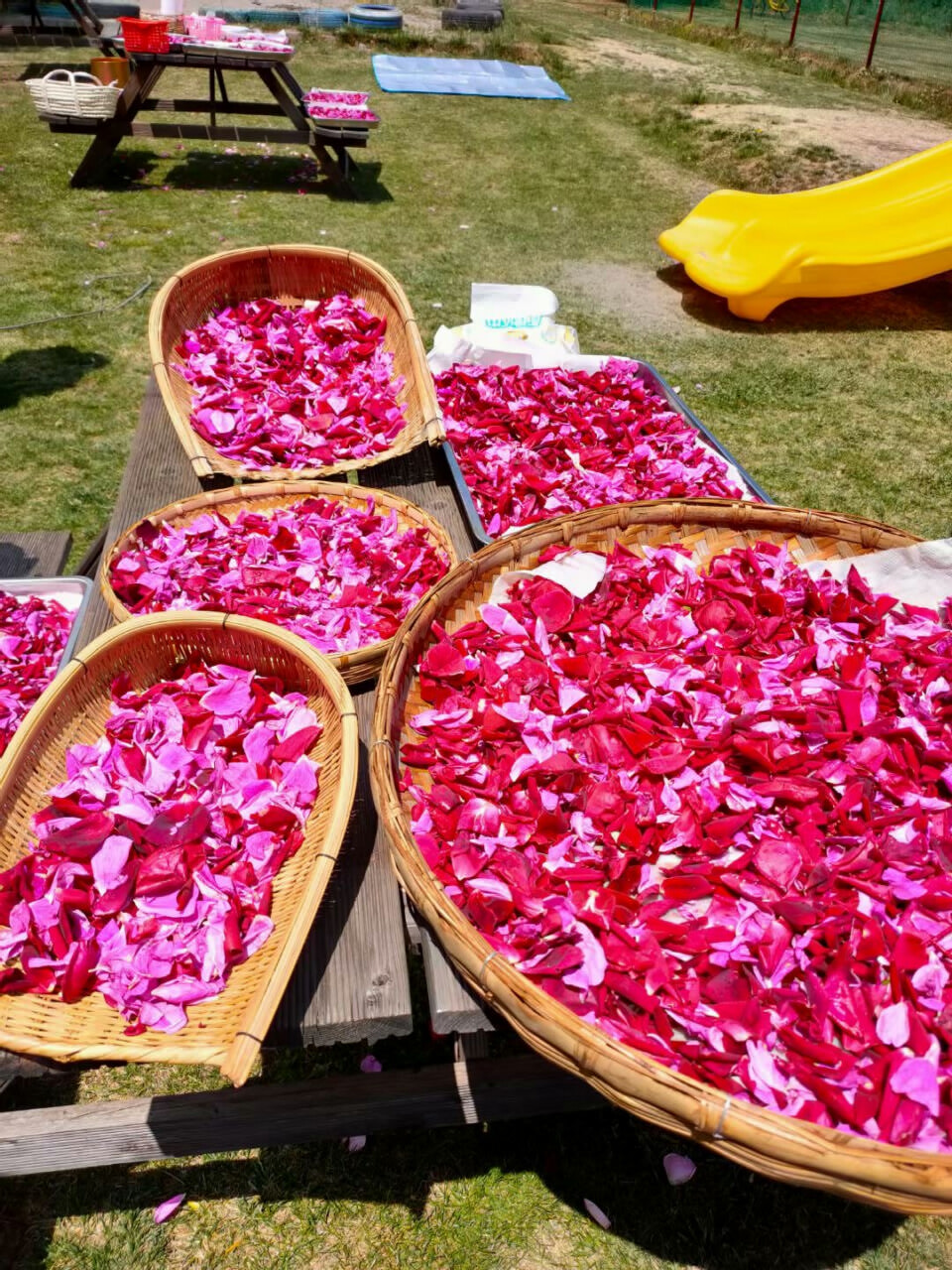 麗江普濟農(nóng)莊青少年戶外拓展?fàn)I地