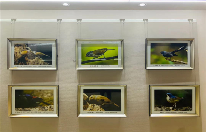 多維度展示滇西北生物多樣性！麗江這個中心值得一去