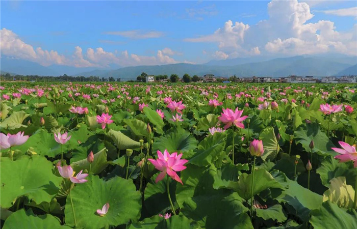 去永勝，開啟一段人文風情的絕美之旅！
