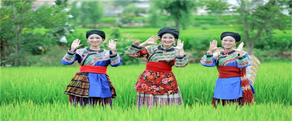 相約水鄉(xiāng)，邂逅激情！華坪縣新莊鄉(xiāng)首屆鄉(xiāng)村旅游節(jié)即將開(kāi)幕