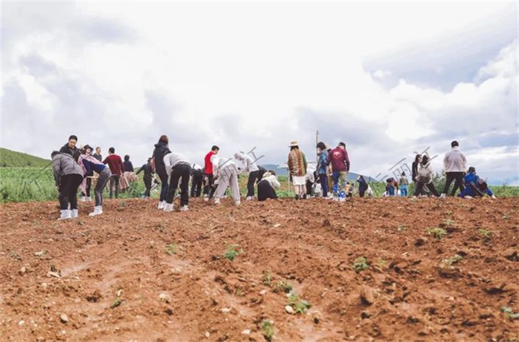 梅賽德斯奔馳2021創造者之旅