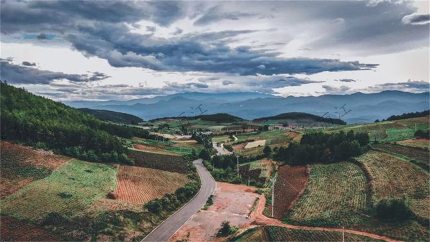 梅賽德斯奔馳2021創造者之旅