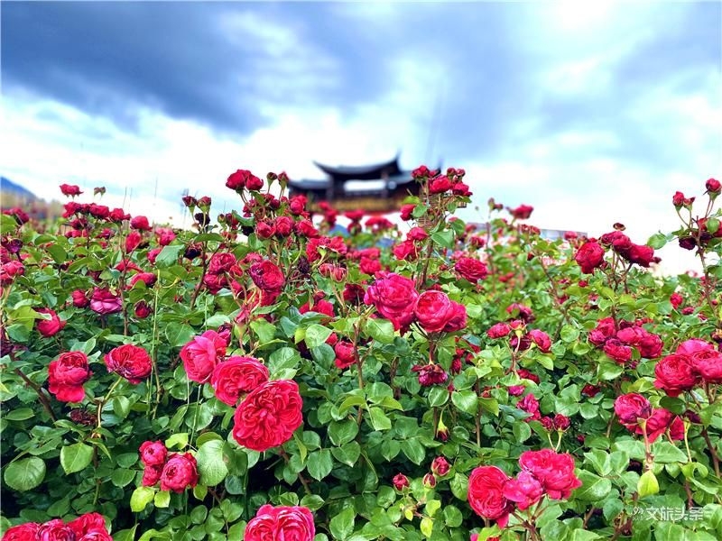 第三批全國鄉村旅游重點村玉龍縣拉市鎮均良村