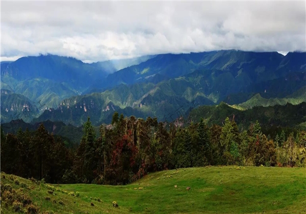不用去呼倫貝爾大草原，麗江這個“天上草原”美哭你！