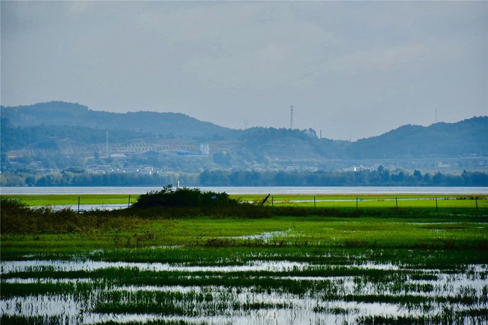 你能想到的所有詩(shī)情畫意，都藏在麗江深秋的拉市海里......也是麗江宴會(huì)策劃的首選之地