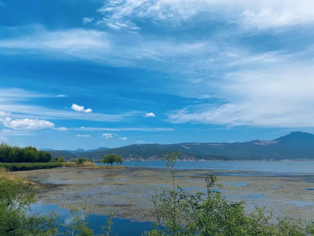 麗江拉市海最美季節(jié)！放眼望去宛如畫作~    麗江旅游攻略