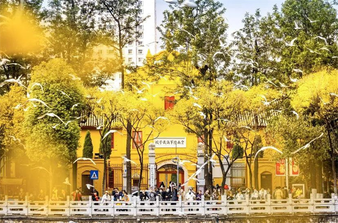 麗江旅游攻略：來(lái)云南邂逅不一樣的冬天，體驗(yàn)麗江非遺文化