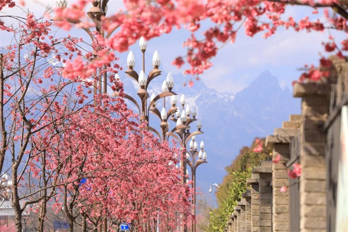 麗江旅游攻略：麗江到底是什么星座的？