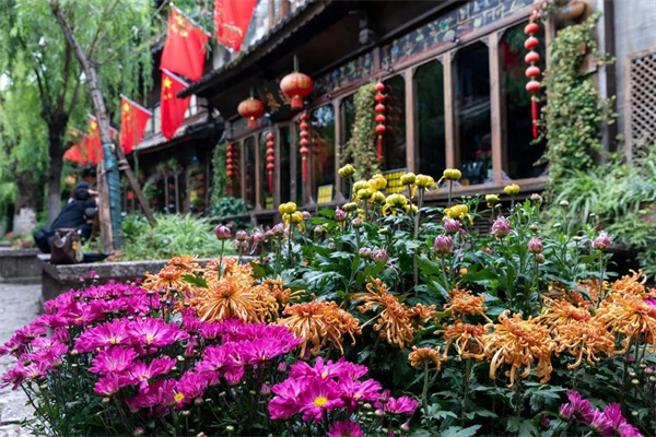 麗江團建地方推薦：拉市海候鳥灣濕地，體驗特色團建的好去處