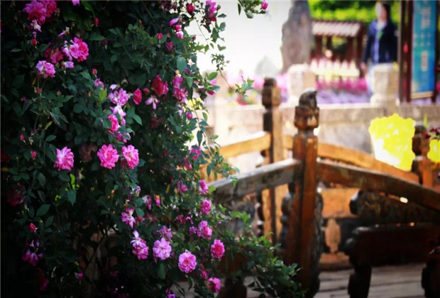 這里是麗江，現實中的“童話之境”