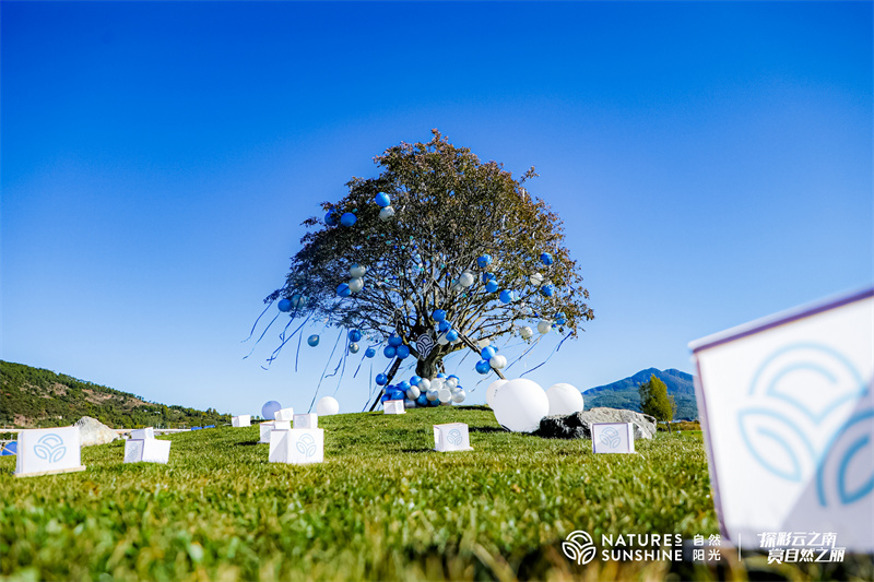 麗江拉市海茶馬古道候鳥(niǎo)灣戶(hù)外基地