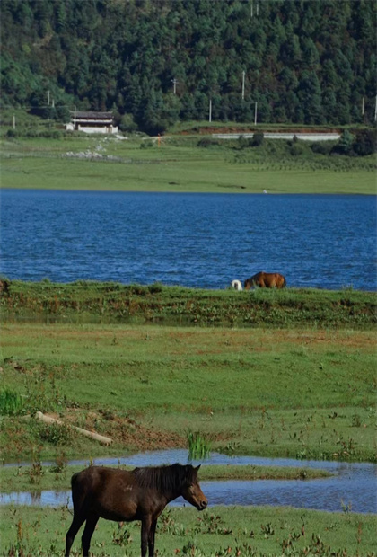 麗江會展公司：小眾景點|麗江最后一個沒被商業化的古村落
