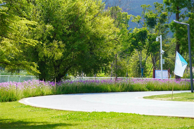 云南旅游,云南旅行社,云南團(tuán)建公司,云南策劃公司,云南會(huì)議會(huì)展公司,云南活動(dòng)執(zhí)行公司,麗江旅游 ,麗江旅行社,麗江團(tuán)建公司,麗江策劃公司,麗江會(huì)議執(zhí)行公司：20度的麗江，藏著夏日的清涼密碼