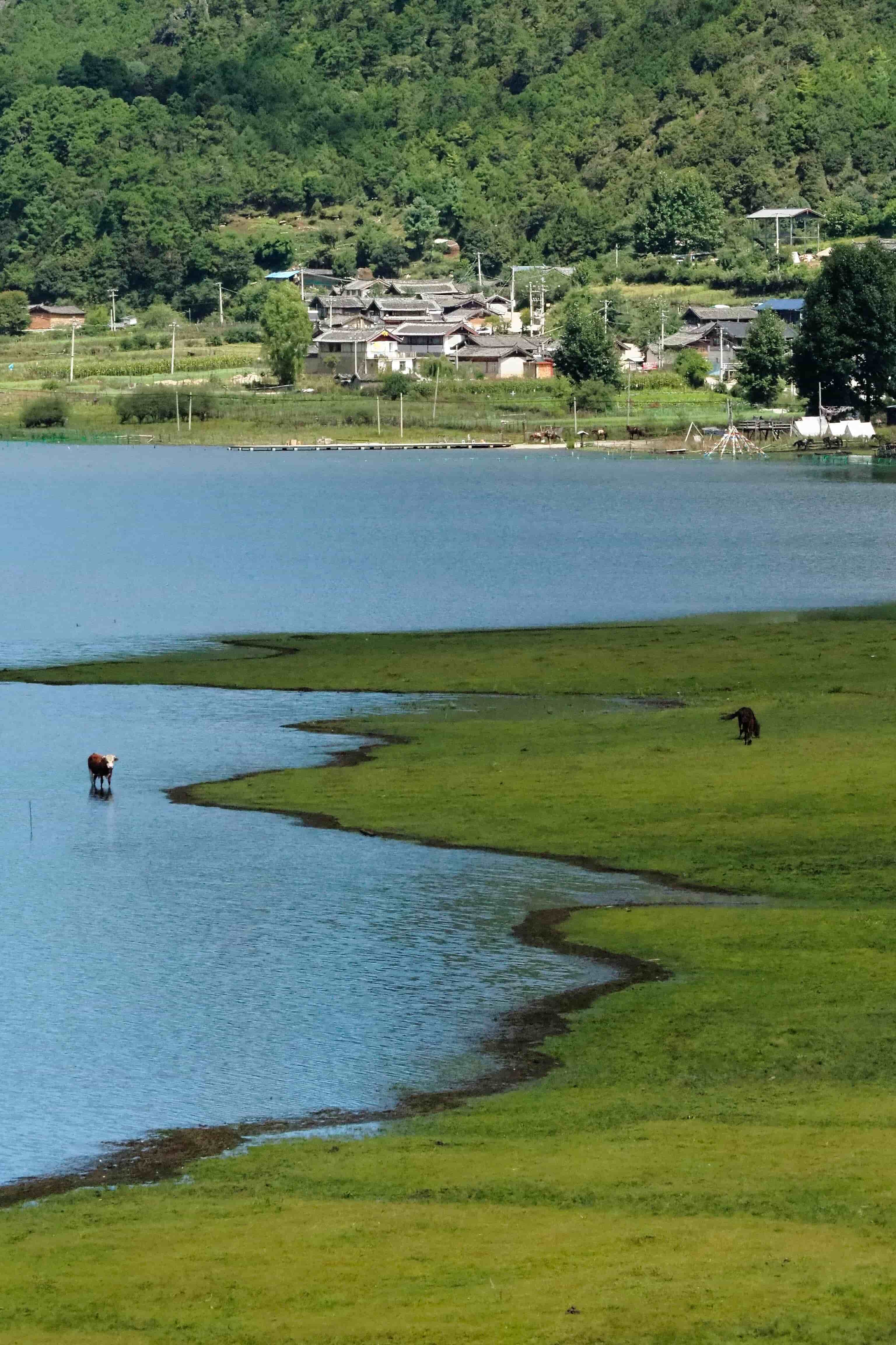 云南旅游,云南旅行社,云南團(tuán)建公司,云南策劃公司,云南會(huì)議會(huì)展,云南旅游地接,麗江旅游,麗江旅行社,麗江團(tuán)建公司,麗江策劃公司,麗江會(huì)議會(huì)展,麗江策劃執(zhí)行：麗江自駕游推薦小眾秘境