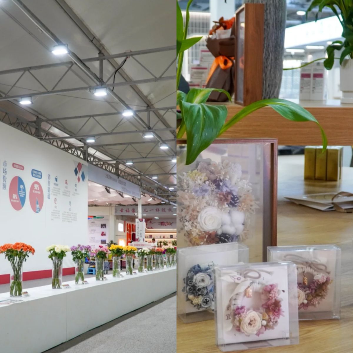 云南旅游,云南旅行社,云南團建公司,云南策劃公司,云南會議會展,麗江旅行社,麗江團建公司,麗江策劃公司,麗江會議會展,麗江策劃執行：走進“麗江de花”，與“中國最好的玫瑰”’共赴一場浪漫至極